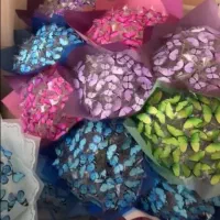 دسته گل پروانه ای|گل مصنوعی|سبزوار, پاسداران|دیوار