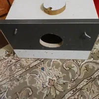 لونه پرندگان بزرگ