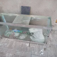 آکواریوم