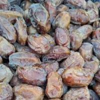 خرما کبکاب خشت اعلا ارگانیک|خوردنی و آشامیدنی|قم, باغ شریفی|دیوار