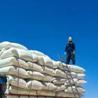 کاه نرم و درجه یک کردستان