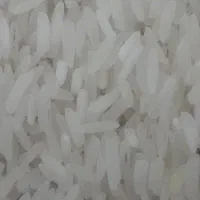 پخش برنج نیمدانه ۱۶۵ تا۴۵۰