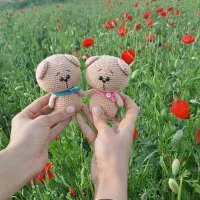 خرس خوابآلود|اسباب‌‌بازی|شاهرود, |دیوار