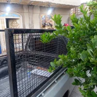 باربند پراید وانت محافظ دار سقف