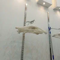 چوب لباسی|بندرخت و رختآویز|مشهد, شهید آوینی|دیوار