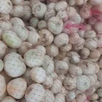پیاز پوست کنی