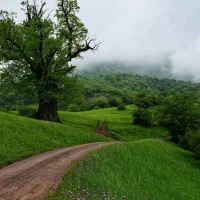 سفر به ارتفاعات گیلان