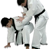 آموزش دفاع شخصی پیشرفته و هوشمند|خدمات آموزشی|پردیس, فاز ۴|دیوار