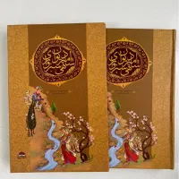 دیوان شعر امیر شاهی سبزواری