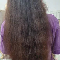 موی طبیعی فروشی|آرایشی، بهداشتی، درمانی|گلستان (تهران), |دیوار