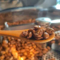 فروش قهوه|خوردنی و آشامیدنی|سراوان, |دیوار