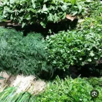 سبزی خورشتی