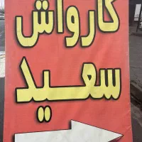 کارواش کار حرفه ای