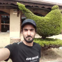 گاو صندوق .ایران کاوه اصل . دو طبقه رمز دار