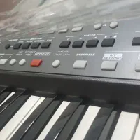 کیبورد pa600|پیانو، کیبورد، آکاردئون|لنگرود, |دیوار