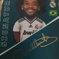 باسلام خدمت ورزشکاران عزیزسه عددکمدی|مجسمه، تندیس، ماکت|زابل, |دیوار