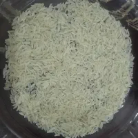 برنج فجر سوزنی دوالکه