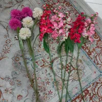 ۷شاخه گل بلند ارکیده و داوودی|گل مصنوعی|تهران, فلاح|دیوار