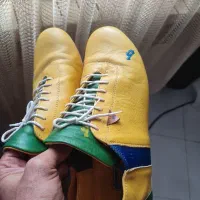بازی پوما نایک