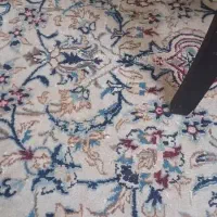 فرش دست بافت|فرش|بندرعباس, |دیوار
