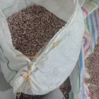 لوبیاچبتی اردبیل