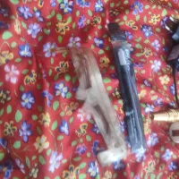 لوازم تتوهمه باهم|آرایشگاه و سالن‌های زیبایی|اسلام‌شهر, شهرک واوان|دیوار