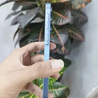 گوشی A55 سامسونگ|موبایل|مشهد, یوسفیه (شهرک غرب)|دیوار