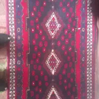 قالی محلی دست باف کناره|فرش|سیرجان, |دیوار