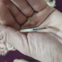 النگو طلا بچگانه|جواهرات|اردبیل, |دیوار