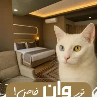 تور وان ترکیه همه روزه از تهران