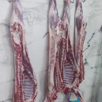 کالابرگ رایگان دهک 1تا7|خوردنی و آشامیدنی|شیراز, لشکری‎|دیوار