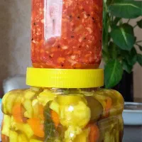 انواع ترشی وشوری های خونگیم|خوردنی و آشامیدنی|شیراز, فضلآباد|دیوار