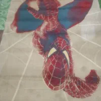 تابلو زیبا|تابلو، نقاشی، عکس|تالش, هشتپر|دیوار