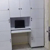 کمد ایستاده پاک چوب