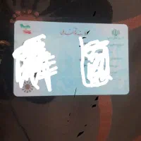 کیف مدارک گم شده