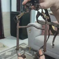 دهنی اسب انگلیسی قدمت ۱۵۰سال