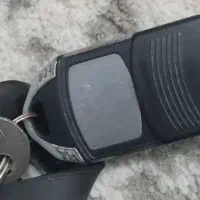 ریموت پیدا شده