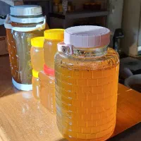 عسل|خوردنی و آشامیدنی|کرج, عظیمیه|دیوار