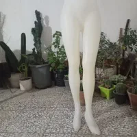 مانکن شلوار  زنانه پلاستیکی