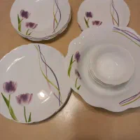 ظروف غذاخوری