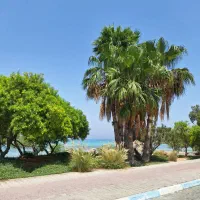 صدف-146-متر-3خواب