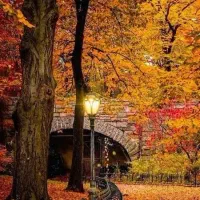 آموزش  آی سی دی ال(ICDL) و حسابداری