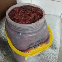 ترشی لیته بادمجان