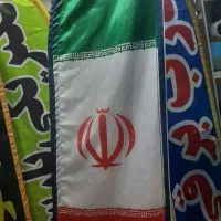 رول دستگاه کارتخوان
