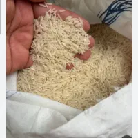 برنج فجر سوزنی|خوردنی و آشامیدنی|علی‌آباد کتول, |دیوار