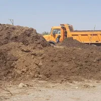 خاک.گاو.خالص‌‌هسته‌خاگ‌با‌گوسفند