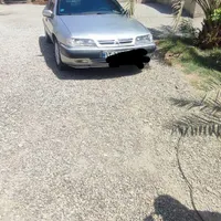زانتیا نقره ای