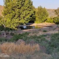 زمین-ویلایی-حاشیه-استخر-و-قنات