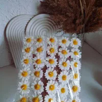 شمع نماد سال ۱۴۰۵