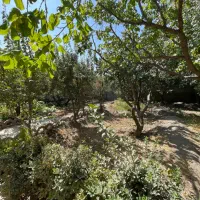 فروش-باغ-300متری-داخل-بافت-مسکونی-شهریار-کهنز